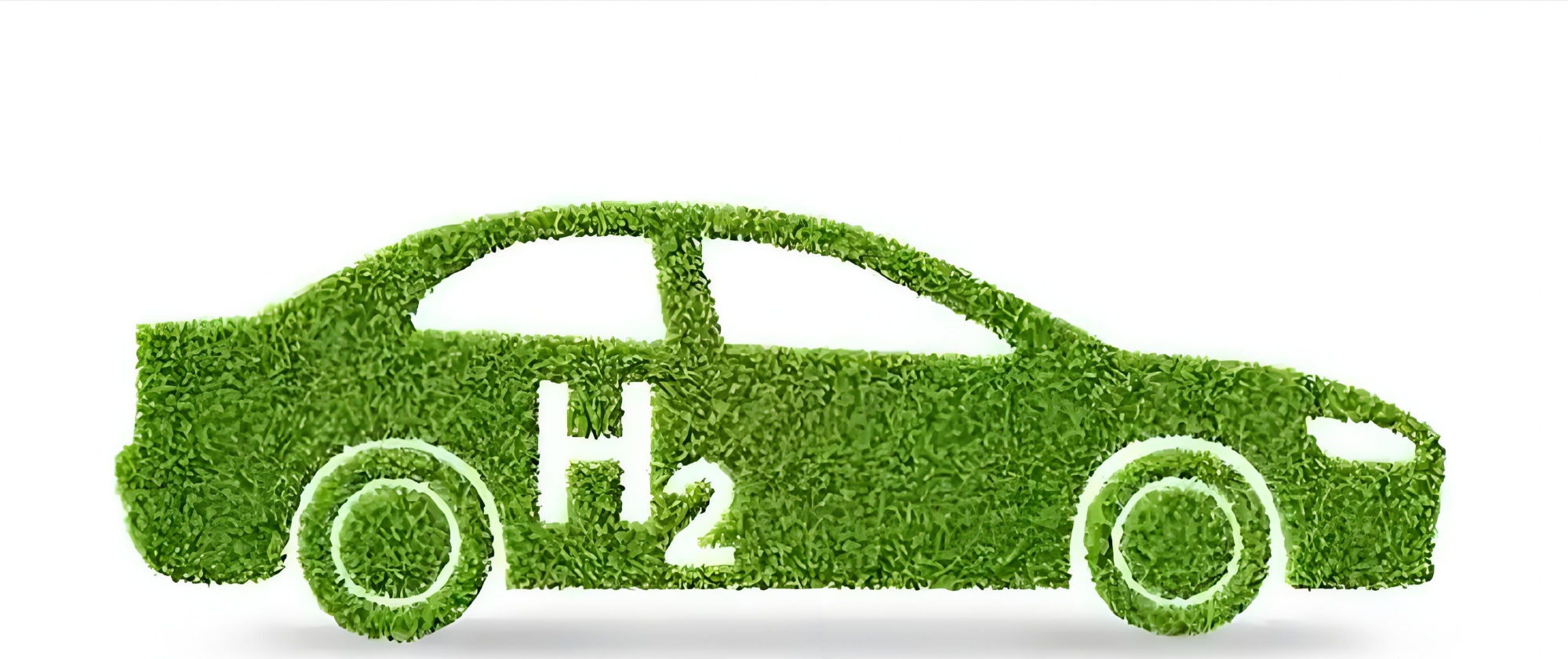 碳中和：一场关乎人类未来的绿色革命