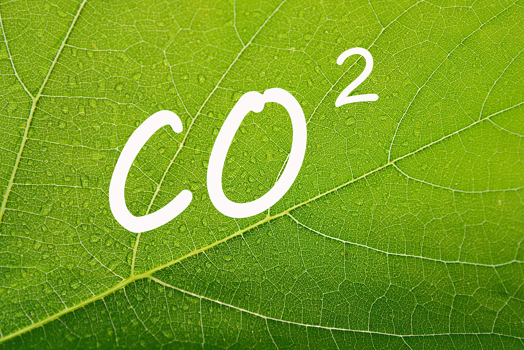 2026碳中和目标：中国绿色转型的里程碑与全球担当