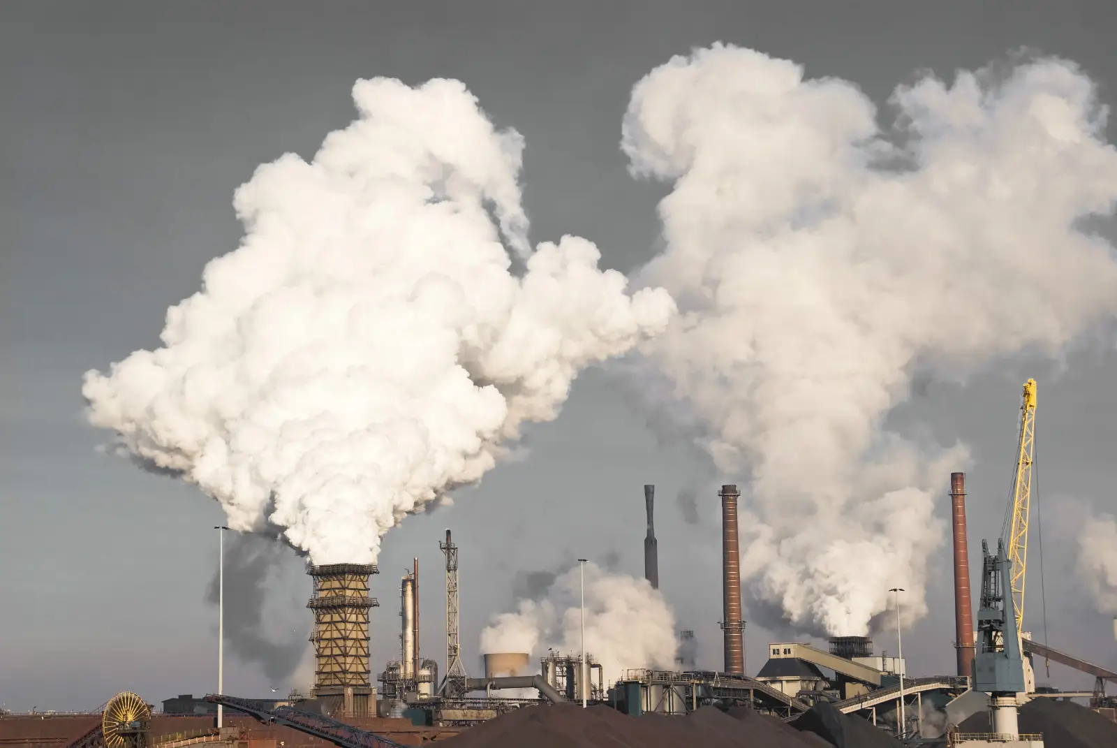 碳中和：每个普通人的“日常革命”